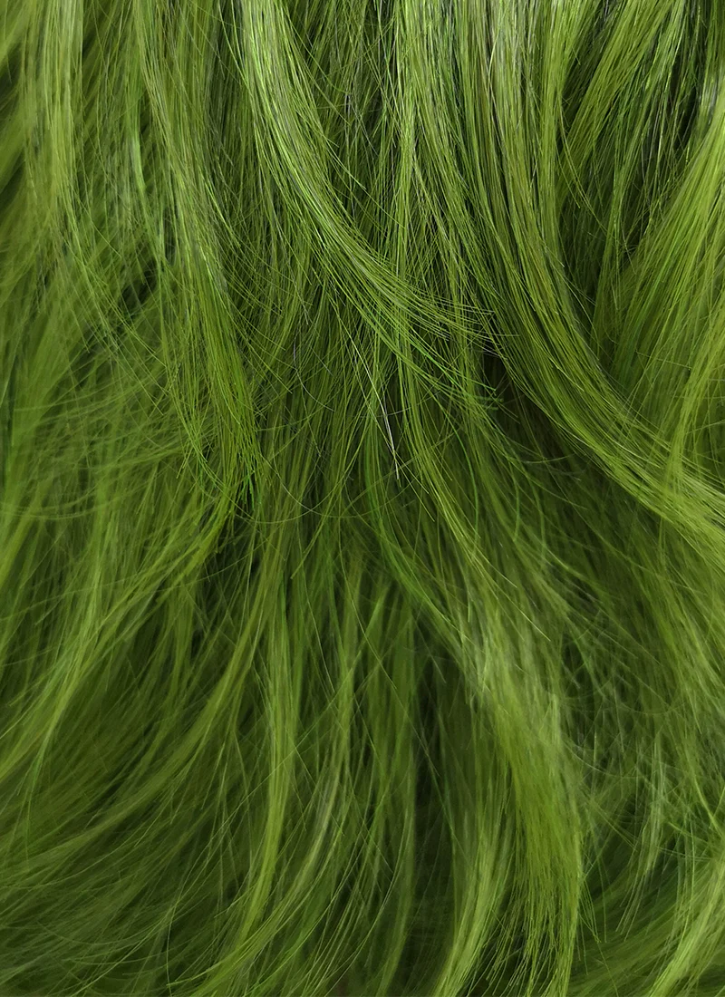DC Joker Short Wavy Green Anime Cosplay Wig ZB244 - Image 6